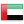 United Arab Emirates (AE) flag