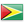 Guyana flag